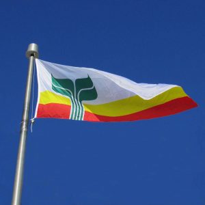 Grand drapeau franco-manitobain sur mât
